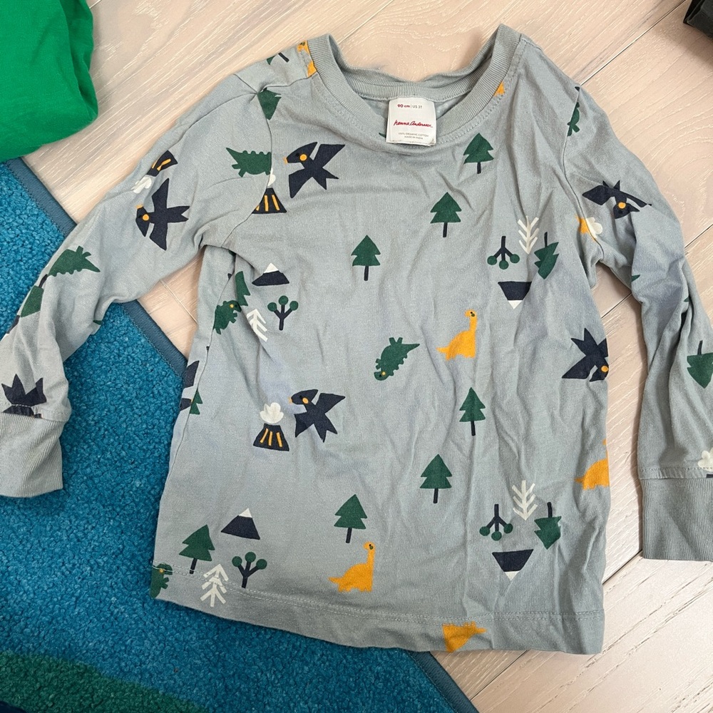 Hanna Andersson 3T long sleeve winter shirt 

GUC